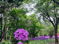 -沈阳植物园