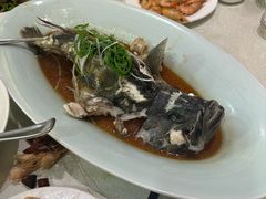 -良友·海鲜青岛菜(五四广场店)