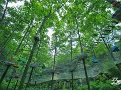 -梦幻奥陶纪景区