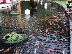 -三亚湾海居铂尔曼度假酒店