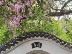 -深圳国际园林花卉博览园