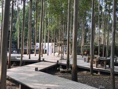 -桉树林A coffee 森林餐厅(三圣乡店)