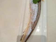 -鸿运酒楼