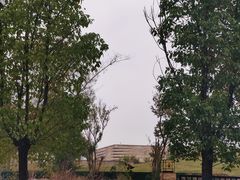 -盘龙城国家考古遗址公园