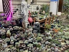 -杨厝六十六农庄农舍(杨厝路店)