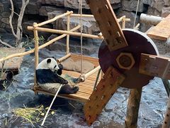 -济南野生动物世界