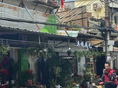 -溪岸路花鸟市场