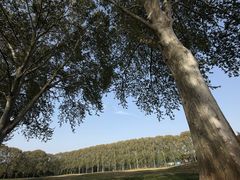 -河南省黄河迎宾馆