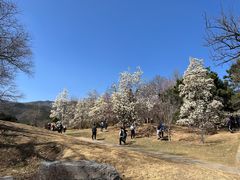 -国家植物园南园