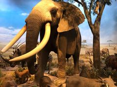 -陕西自然博物馆