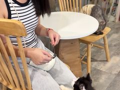 -楼上猫咖(罗湖店)