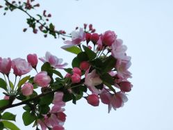 -大望京儿童游乐场