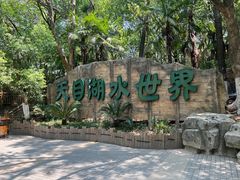 -天目湖水世界