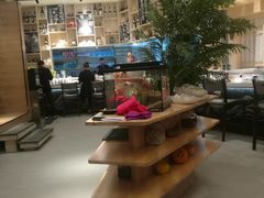 -鲜稻回转寿司(百利城店)