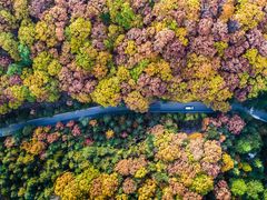 -洛阳白云山景区