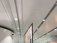 -麦当劳(北京大兴机场二层国内到达(安检外)店)