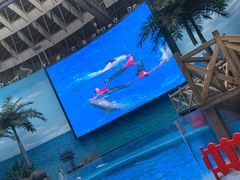 -海合安成都极地海洋公园