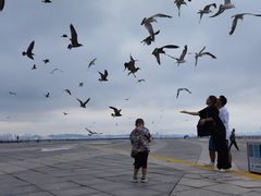 -东港音乐喷泉广场