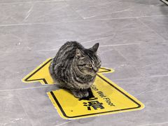 -杭嘉湖咬强羊肉面馆(永兴路总店)