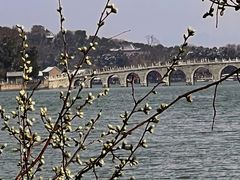 -颐和园-景明楼