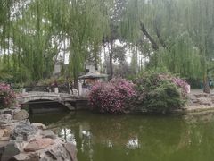 景点-北京动物园