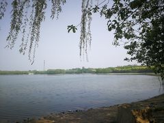 -大兴滨河森林公园