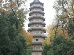 -灵谷景区