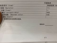 -静安公园(静安寺街道)