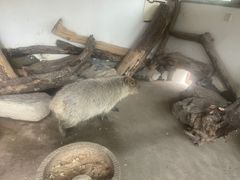 -银树楼(紫玉山庄东区店)