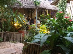 -Jungle Kitchen