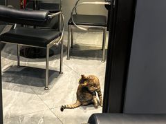 -叁 Three· bistro餐酒馆