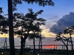 -芒洲湿地公园