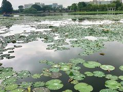 -海天湖公园
