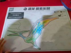 -恐龙探索乐园(磁器口店)