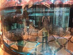 -金翠皇宫粤菜·点心·海鲜(科技园店)