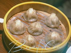 -乔家栅(襄阳南路店)