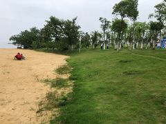 -瑶湖郊野森林公园
