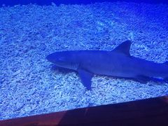 -华夏文旅西安度假区