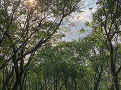 -紫金山山顶公园