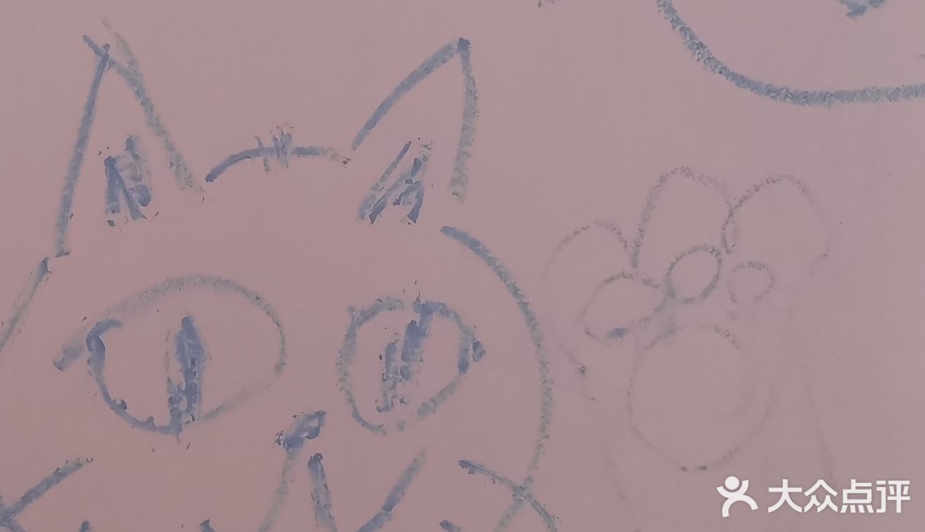 上海看展 | Cat Art 超治愈猫咪艺术展