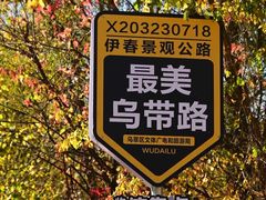 -茅兰沟国家森林公园