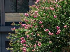 -杭州城北体育公园