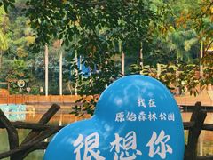 -西双版纳原始森林公园