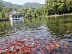 -广州市白云山风景名胜区