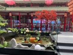 -老山东·山东菜(鲁菜名店)