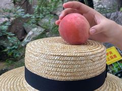 -崂山九水游览区