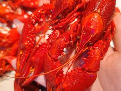 -钳小柒·小龙虾蓝龙王烧烤夜宵(长寿路店)