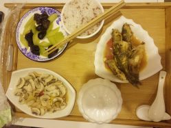 -美悦月子中心(财大店)
