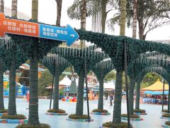 -海合安成都极地海洋公园