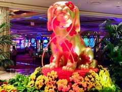 -拉斯维加斯永利酒店